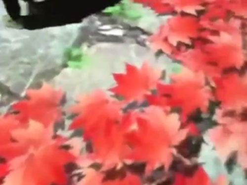 亮化照明公司哪家好？当然亮全城